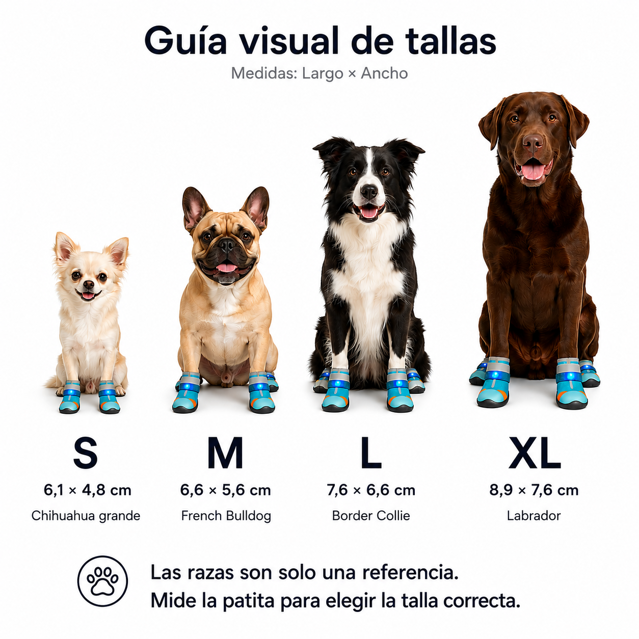 Zapatos con Luz Integrada para Perro