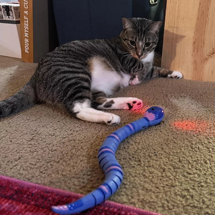 Motion Activated Slithering Snake Cat Mechanical Toy